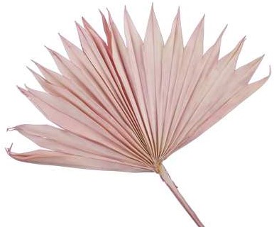 Palmblad Sun cut PastelRoze 5st Palm blad