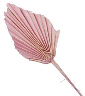 Palmblad Palm Spear PastelRoze 7st Palm blad