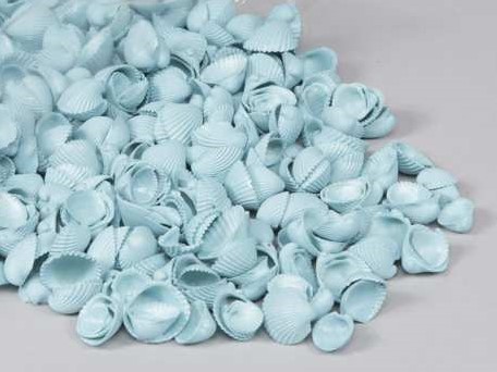 Clamrose schelpen blue washed, 1 kilo
