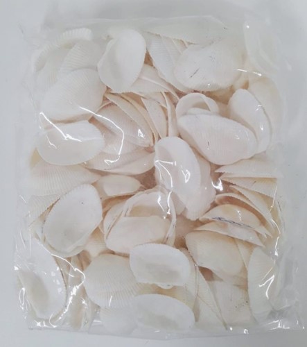 Schelpen dinh ba 3,5-4,5 cm naturel 450 gr Cockels