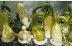 Mix Lagenaria 