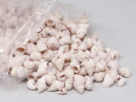 Umachi schelpen pink washed, 1 kilo