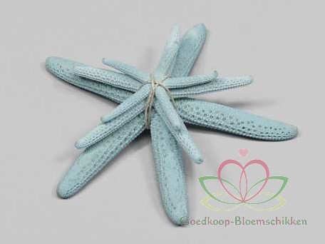 Zeester Starfish lichtblauw, +/- 5-10 cm. set van 3 stuks
