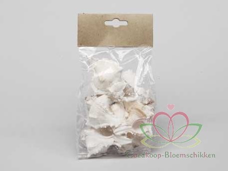 White Mulli schelpen 250 gram
