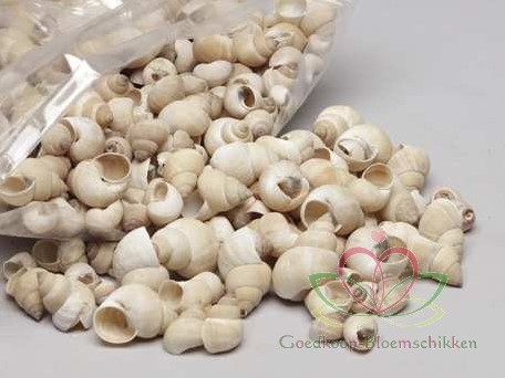 Umachi schelpen naturel, 1 kilo