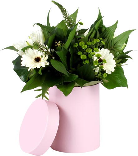 Bloemendoos hoedendoos KARTON Ø13XH17CM Roze Schattig bloemendoosje leeg