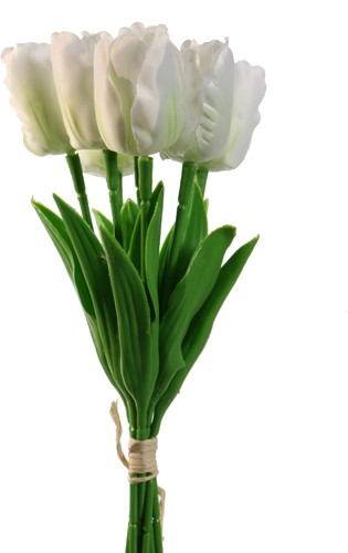 Tulp Tulpen CremeWit 33cm - Bundel van 7 stuks - Van het merk: PURE, Zijde Merk: PURE   Zijde Tulpen