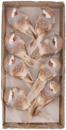 Vogeltjes op clip 8x3.5x3.5cm 8pc - Lichtbruin Light Brown