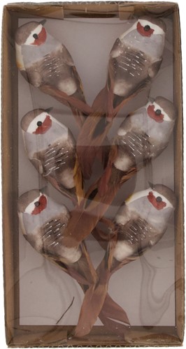 Vogeltjes op clip 12.5x3.5x3.5cm 6pc -Donkerbruin Dark brown