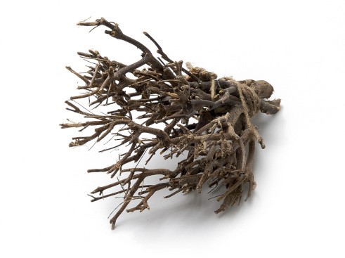 John Branch Stronk ±35cm natural 500g