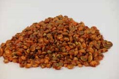 Umboniumschelpen oranje, 200 gram
