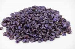 Umbonium schelpen violet, 200 gram