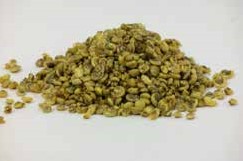 Umbonium schelpen geel, 200 gram