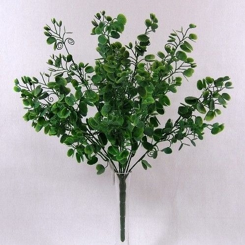 BAUHINIA LEAF BUSH GREEN Mooie vuller voor boeketten en bloemstukken