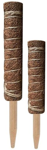 Mosstok Kokosstok Planten totems Set 50 + 30 cm Opbinden van planten