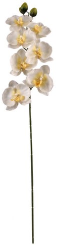 PANDA ORCHIDEE SPRAY CREAM PANDA ORCHIDEE SPRAY CREA
