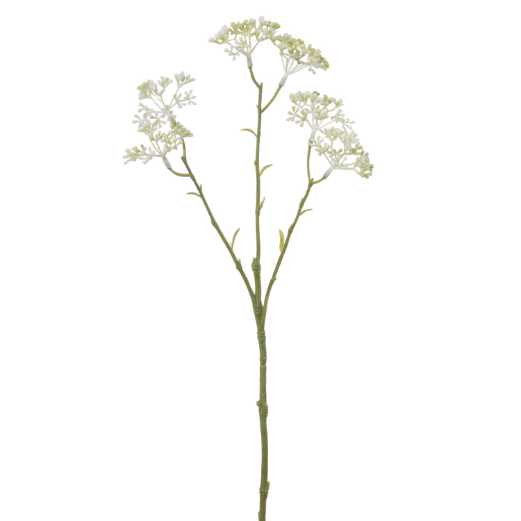 Decoflorall Limonium L42 creme zijde Limonium L42 creme