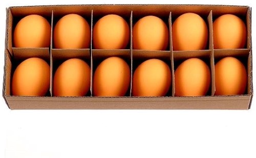 Kippeneieren Oranje - Set van 12 Stuks - Echte Leeggeblazen Eieren voor Decoratie echte leeggeblazen eieren voor decoratie