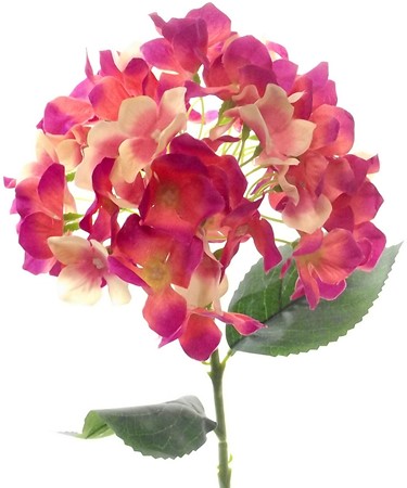 Hortensia 45cm. SINGLE HYDRANGEA BEAUTY Hortensia