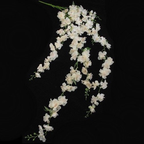 DELPHINIUM PEACH 134cm. LARGE TRAILING  bloemtak
