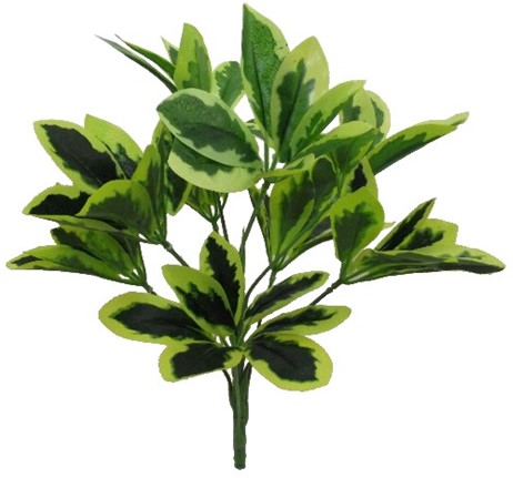 47cm EUPHORBIA SPRAY VARIEGATED boeketvuller