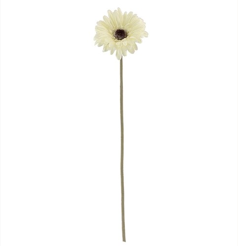 Gerbera 53 cm Creme Gerbera