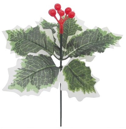 Hulst BONTBLAD met besjes Holly and berry doos +/- 144 Hulst BONT met besjes