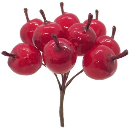 Appeltjes rood bundel  +/- 10 stuks kleine rode appeltjes