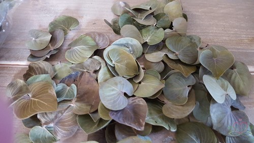 Coracao leaves natural Groene blaadjes 150gram zak  