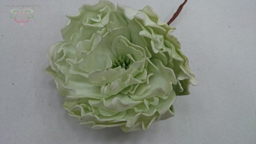 Pioenroos LichtGroen de luxe 12cm./ PAK4st foam op=op Pioenroos