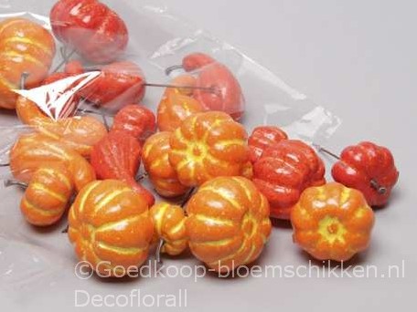 Actie Voordeelzak Oranjerode Pompoentjes op dr ZAK +/-24 Van 11.49 voor maar E 8.49  Pompoentjes Oranje
