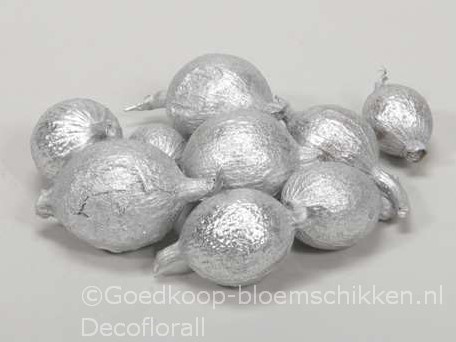 Cowri fruit Zilver 300 gram Noten