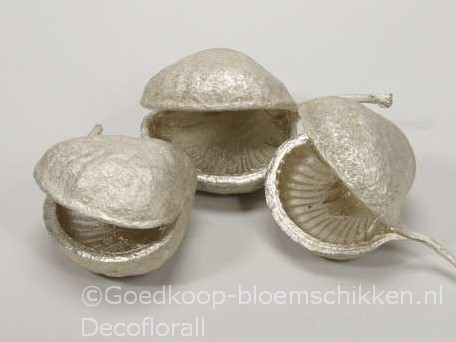 Budha nuts 8 stuks Platinum Budha nuts 8 stuks