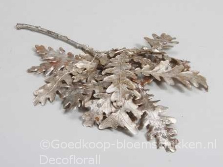 eikenblad Platinumwash 150 gr eikenblad