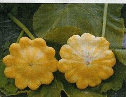 Golden Marbre