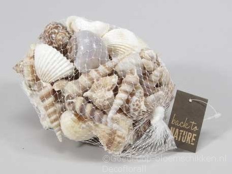 Schelp Schelpenmix 500 g net MIX-2 Mooie Schelpenmix 500 g