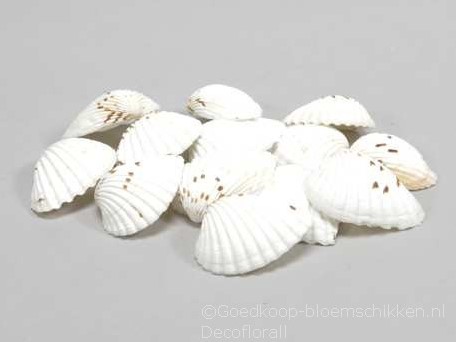 Tiger Chippy schelpen naturel, 500 gram