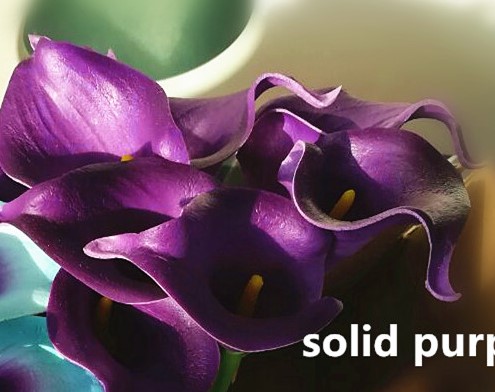 Calla Real Touch Purple Paars +/- 7 cm. en 37cm lang. / st Calla Real Touch +/- 7 cm.
