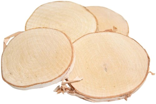Boomstamschijf Berkenschijf rond +/-9-10cm per +/- 10 st Boomstamschijf