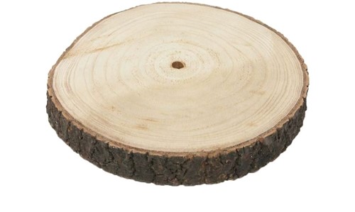 Boomstamschijf Paulonia Apollonia  +/- 40 cm Boomstamschijf