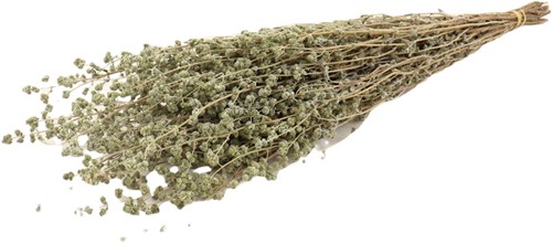 Oregano Marjorana in hoes bundel 88gr droogbloemen bundel