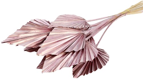 Palm Spear Palm Sun 10 pc Metalic Pink, Roze Palm Spear