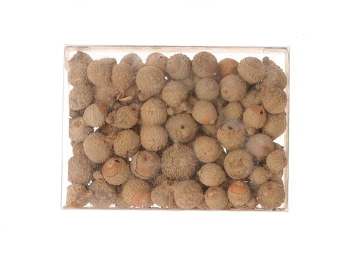 Acorn Eikeltjes rond naturel 100 gram Eikeltjes
