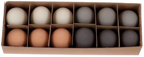 Ganzeneieren Naturel Grijs assortet +/- 8 cm mooie eieren 