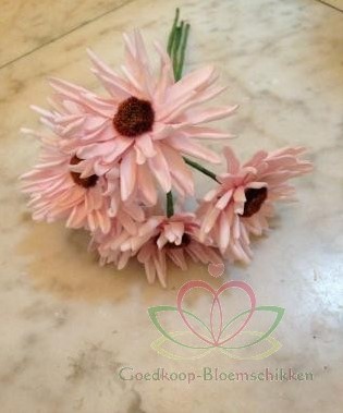Aster Gerbera foambloem DOOS 30st Softroze Gerbera foambloemen