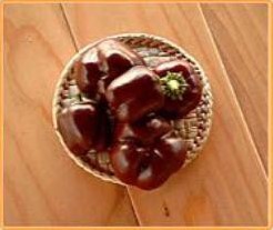 Baby Bell Chocolate (mini paprika) Baby Bell Choco