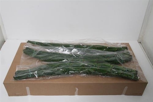 Bamboe dunne stokken 80 cm bundel Alternatief voor polygonum, mooie stokken voor bloemschikken en decoratie