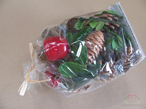 Actie Herfstmix Denneappel deco mix Naturel/Rood van 5.49 voor 4.99  Denneappel deco mix op=op