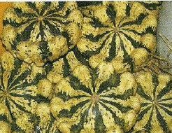 Panache Jaune de vert