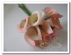 Calla creme-roze 3. 5*5 cm. / bundel Calla creme-roz